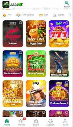 356PK Game Main Display